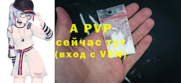 ПСИЛОЦИБИНОВЫЕ ГРИБЫ Вязники